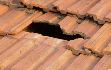 roof repair Whitespots, Dumfries And Galloway